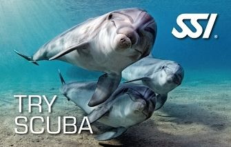 SSI Try Scuba Diver Course