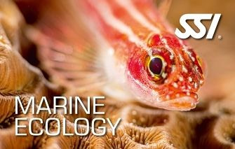 SSI Marine Ecology Biology Course