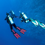 diving Malta Gozo