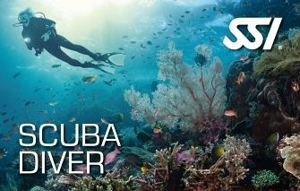 Scuba Diver course