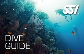 SSI Dive Guide Course